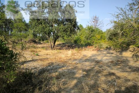 Helårsgrund i Castelo Branco, Castelo Branco, Castelo Branco - € 6.500 | Ref: 6765/EG - foto 2