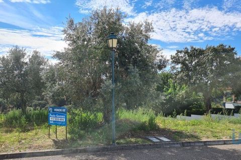 Terra a Chamusca, Santarem, Chamusca - € 36.000 | Ref: 148612 - foto 3