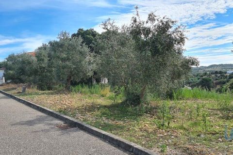 Terra a Chamusca, Santarem, Chamusca - € 36.000 | Ref: 148612 - foto 4