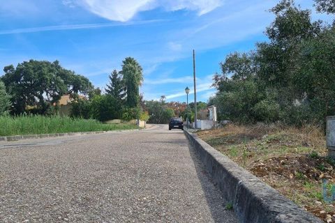 Terra a Chamusca, Santarem, Chamusca - € 36.000 | Ref: 148612 - foto 5