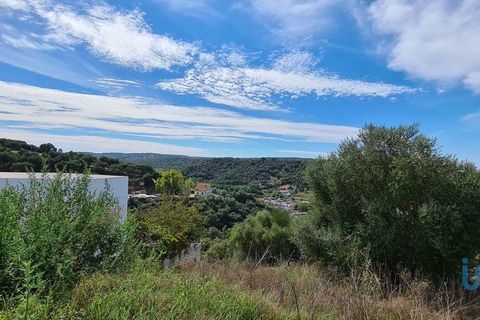 Terra a Chamusca, Santarem, Chamusca - € 36.000 | Ref: 148612 - foto 6