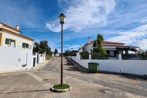 Terra a Chamusca, Santarem, Chamusca - € 36.000 | Ref: 148612 - foto 7