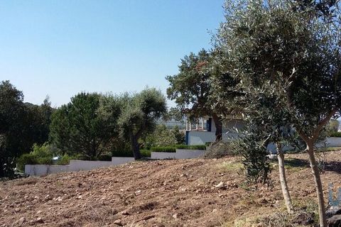 Terra a Chamusca, Santarem, Chamusca - € 36.000 | Ref: 148612 - foto 8