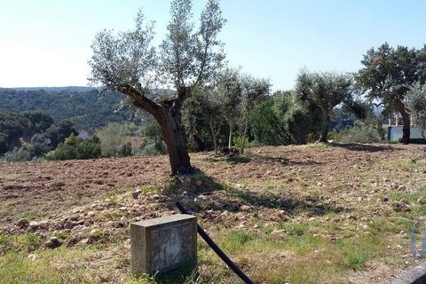 Terra a Chamusca, Santarem, Chamusca - € 36.000 | Ref: 148612 - foto 11
