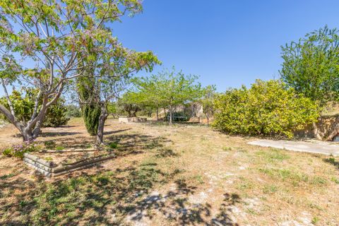 Finca i Teulada, Alicante, Teulada - € 1 600 000 | Ref: 2287V - foto 48