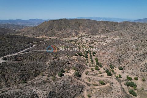 Landejendom i Albox, Almeria, Albox - € 160.000 | Ref: AH-13801 - foto 6