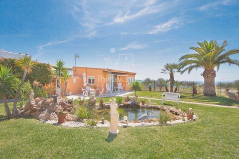 Villa i Ibiza, Ibiza, Ibiza - € 2.700.000 | Ref: 4281 - foto 23