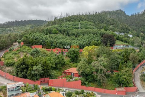 Farm hus i Sao Roque, Madeira, Sao Roque - € 3.500.000 | Ref: 124561036-225 - foto 2