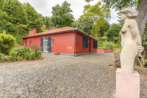 Farm hus i Sao Roque, Madeira, Sao Roque - € 3.500.000 | Ref: 124561036-225 - foto 3