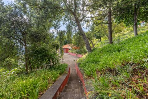 Farm hus i Sao Roque, Madeira, Sao Roque - € 3.500.000 | Ref: 124561036-225 - foto 9