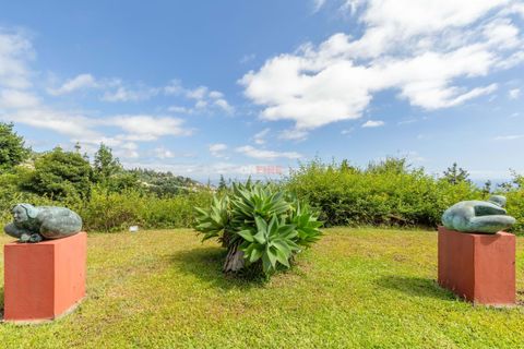 Farm hus i Sao Roque, Madeira, Sao Roque - € 3.500.000 | Ref: 124561036-225 - foto 15