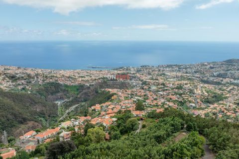 Farm hus i Sao Roque, Madeira, Sao Roque - € 3.500.000 | Ref: 124561036-225 - foto 39