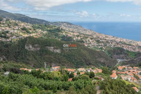 Farm hus i Sao Roque, Madeira, Sao Roque - € 3.500.000 | Ref: 124561036-225 - foto 40