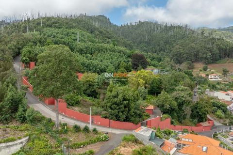 Farm hus i Sao Roque, Madeira, Sao Roque - € 3.500.000 | Ref: 124561036-225 - foto 41