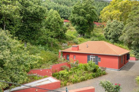 Farm hus i Sao Roque, Madeira, Sao Roque - € 3.500.000 | Ref: 124561036-225 - foto 42