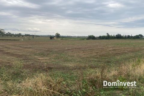 Helårsgrund i Capalbio, Grosseto, Capalbio - € 125.000 | Ref: v-211 - foto 2