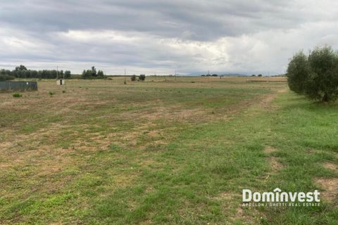 Helårsgrund i Capalbio, Grosseto, Capalbio - € 125.000 | Ref: v-211 - foto 3