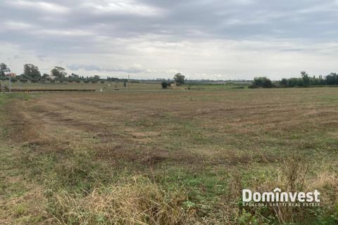 Helårsgrund i Capalbio, Grosseto, Capalbio - € 125.000 | Ref: v-211 - foto 4