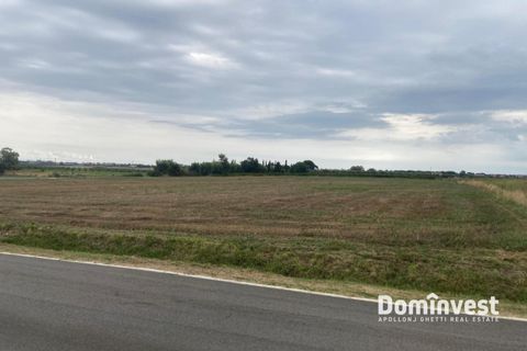 Helårsgrund i Capalbio, Grosseto, Capalbio - € 125.000 | Ref: v-211 - foto 5