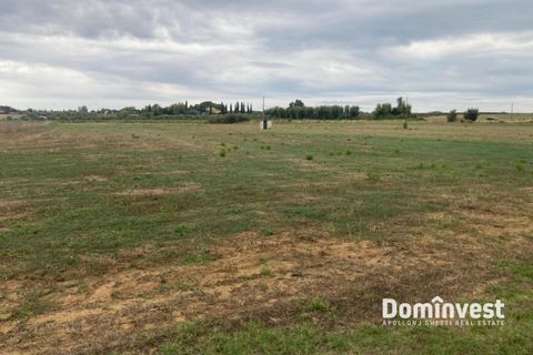 Helårsgrund i Capalbio, Grosseto, Capalbio - € 125.000 | Ref: v-211 - foto 7