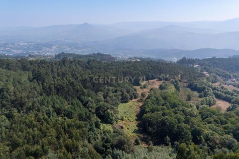 Villa i Celorico de Basto, Braga, Celorico de Basto - € 99.990 | Ref: C0466-00308 - foto 7