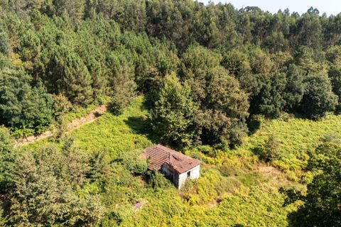 Villa i Celorico de Basto, Braga, Celorico de Basto - € 99.990 | Ref: C0466-00308 - foto 9