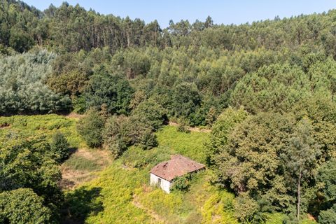 Villa i Celorico de Basto, Braga, Celorico de Basto - € 99.990 | Ref: C0466-00308 - foto 6