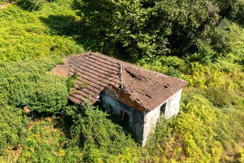 Villa i Celorico de Basto, Braga, Celorico de Basto - € 99.990 | Ref: C0466-00308 - foto 12