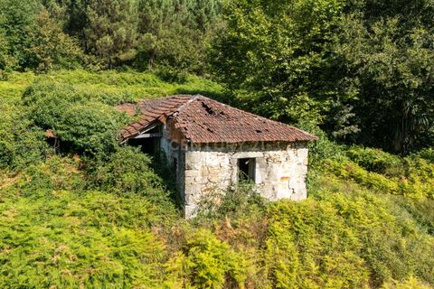Villa i Celorico de Basto, Braga, Celorico de Basto - € 99.990 | Ref: C0466-00308 - foto 13