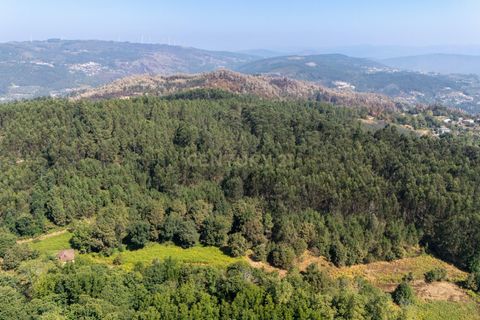 Villa i Celorico de Basto, Braga, Celorico de Basto - € 99.990 | Ref: C0466-00308 - foto 16
