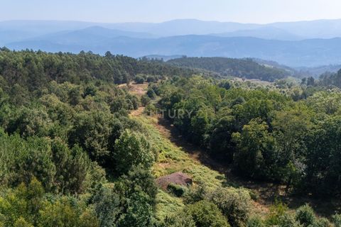 Villa i Celorico de Basto, Braga, Celorico de Basto - € 99.990 | Ref: C0466-00308 - foto 17