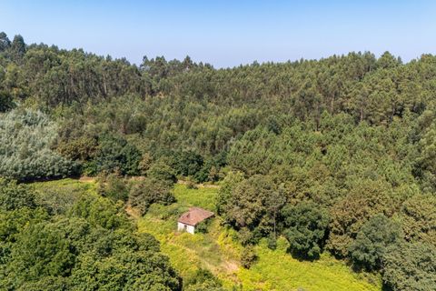 Villa i Celorico de Basto, Braga, Celorico de Basto - € 99.990 | Ref: C0466-00308 - foto 18