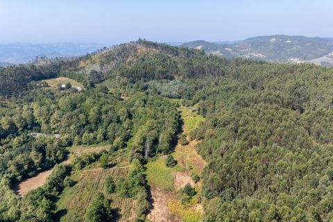 Villa i Celorico de Basto, Braga, Celorico de Basto - € 99.990 | Ref: C0466-00308 - foto 20