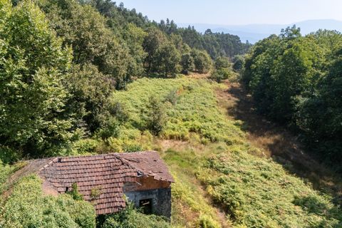 Villa i Celorico de Basto, Braga, Celorico de Basto - € 99.990 | Ref: C0466-00308 - foto 22