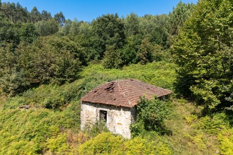 Villa i Celorico de Basto, Braga, Celorico de Basto - € 99.990 | Ref: C0466-00308 - foto 24
