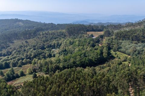 Villa i Celorico de Basto, Braga, Celorico de Basto - € 99.990 | Ref: C0466-00308 - foto 25