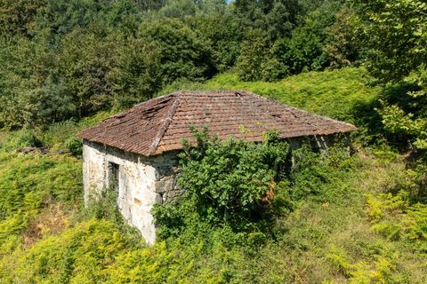 Villa i Celorico de Basto, Braga, Celorico de Basto - € 99.990 | Ref: C0466-00308 - foto 10