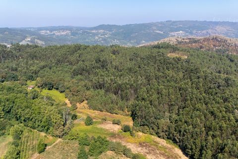 Villa i Celorico de Basto, Braga, Celorico de Basto - € 99.990 | Ref: C0466-00308 - foto 15