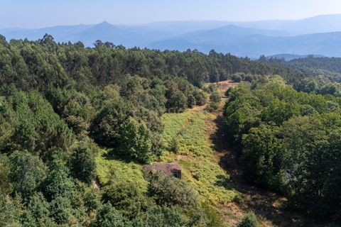 Villa i Celorico de Basto, Braga, Celorico de Basto - € 99.990 | Ref: C0466-00308 - foto 5