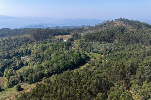 Villa i Celorico de Basto, Braga, Celorico de Basto - € 99.990 | Ref: C0466-00308 - foto 19