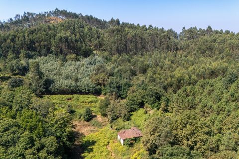 Villa i Celorico de Basto, Braga, Celorico de Basto - € 99.990 | Ref: C0466-00308 - foto 21