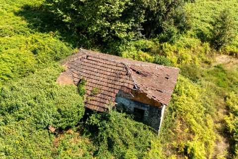 Villa i Celorico de Basto, Braga, Celorico de Basto - € 99.990 | Ref: C0466-00308 - foto 26