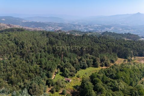 Villa i Celorico de Basto, Braga, Celorico de Basto - € 99.990 | Ref: C0466-00308 - foto 27