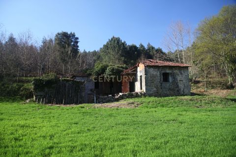 Villa i Celorico de Basto, Braga, Celorico de Basto - € 99.990 | Ref: C0466-00308 - foto 1