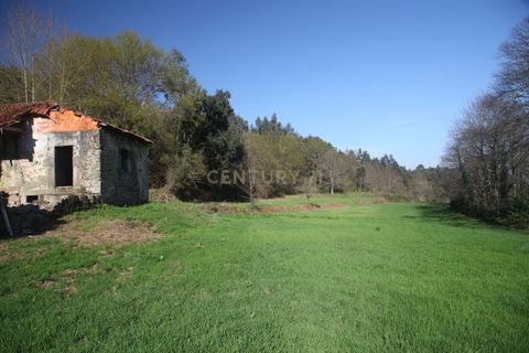 Villa i Celorico de Basto, Braga, Celorico de Basto - € 99.990 | Ref: C0466-00308 - foto 2