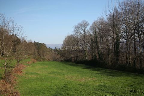Villa i Celorico de Basto, Braga, Celorico de Basto - € 99.990 | Ref: C0466-00308 - foto 3