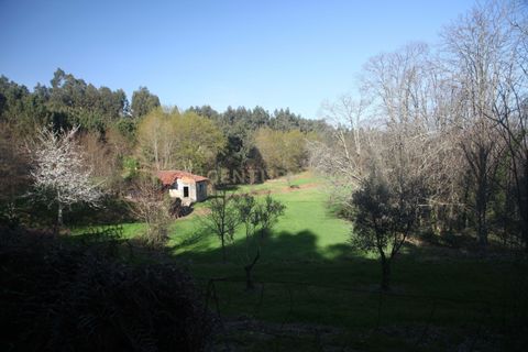 Villa i Celorico de Basto, Braga, Celorico de Basto - € 99.990 | Ref: C0466-00308 - foto 28