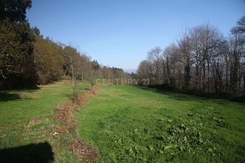 Villa i Celorico de Basto, Braga, Celorico de Basto - € 99.990 | Ref: C0466-00308 - foto 30