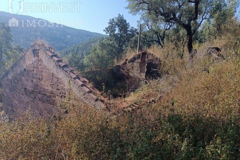 Helårsgrund i Monchique, Faro, Monchique - € 40.000 | Ref: AR00472 - PT - foto 1