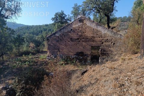 Helårsgrund i Monchique, Faro, Monchique - € 40.000 | Ref: AR00472 - PT - foto 2